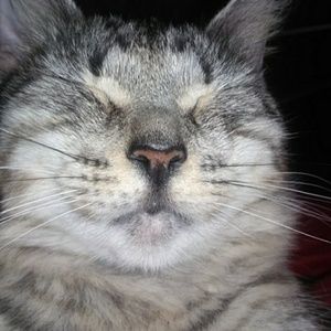 Meet your Posher, Alyson